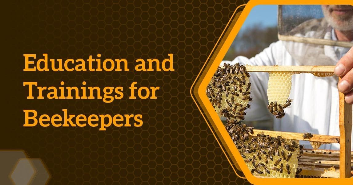 Beekeeping Training & Education | BeeHively